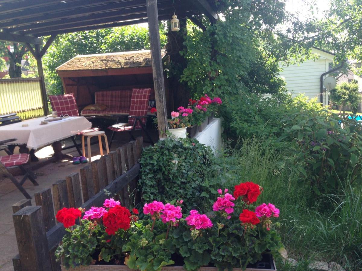 Appartement Am Balkon Des Erzgebirges à Bernsbach Extérieur photo