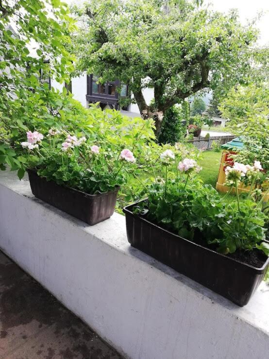 Appartement Am Balkon Des Erzgebirges à Bernsbach Extérieur photo
